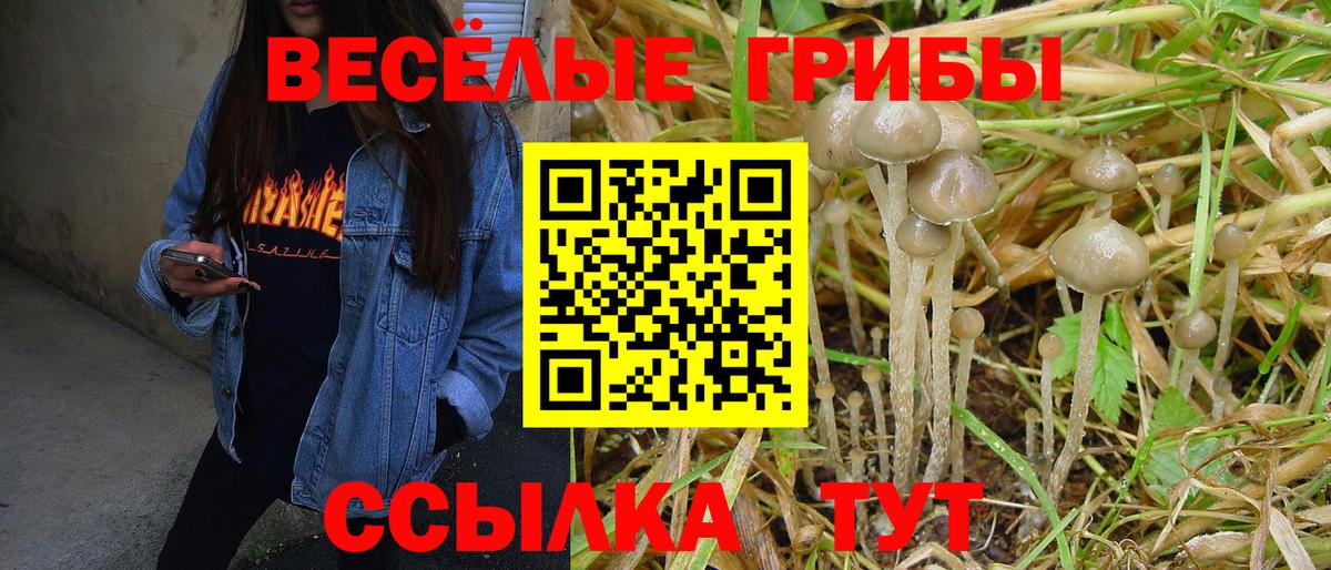 Галлюциногенные грибы Psilocybine cubensis Гагарин