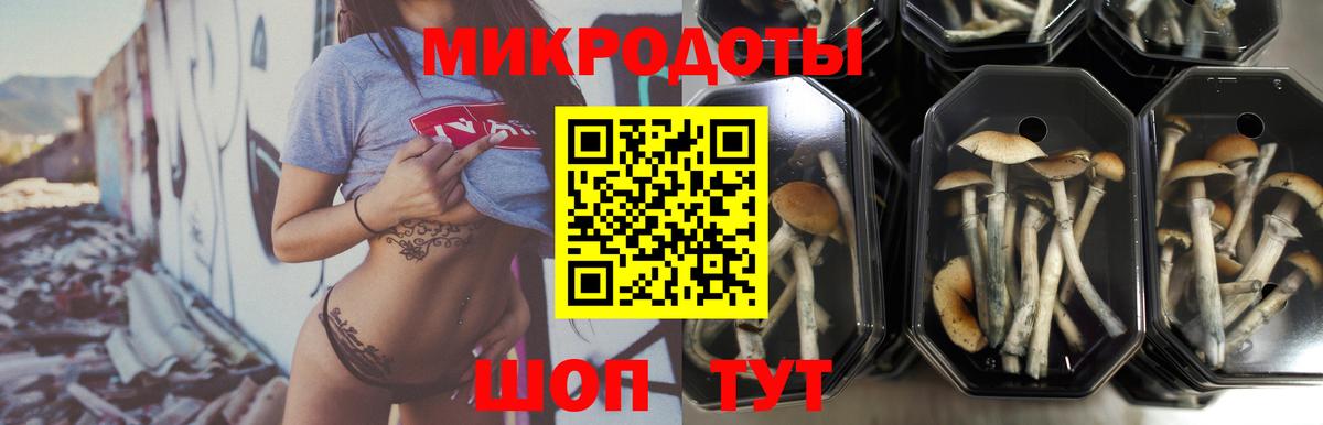 дарнет шоп  Галлюциногенные грибы мицелий  Вход с VPN  Гагарин 